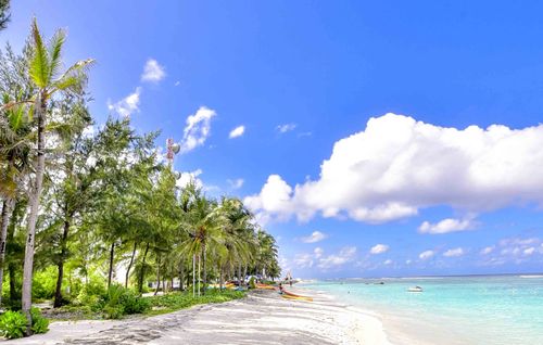 Free Tropical beach view in Maldives with palm trees and clear blue waters. Stock Photo