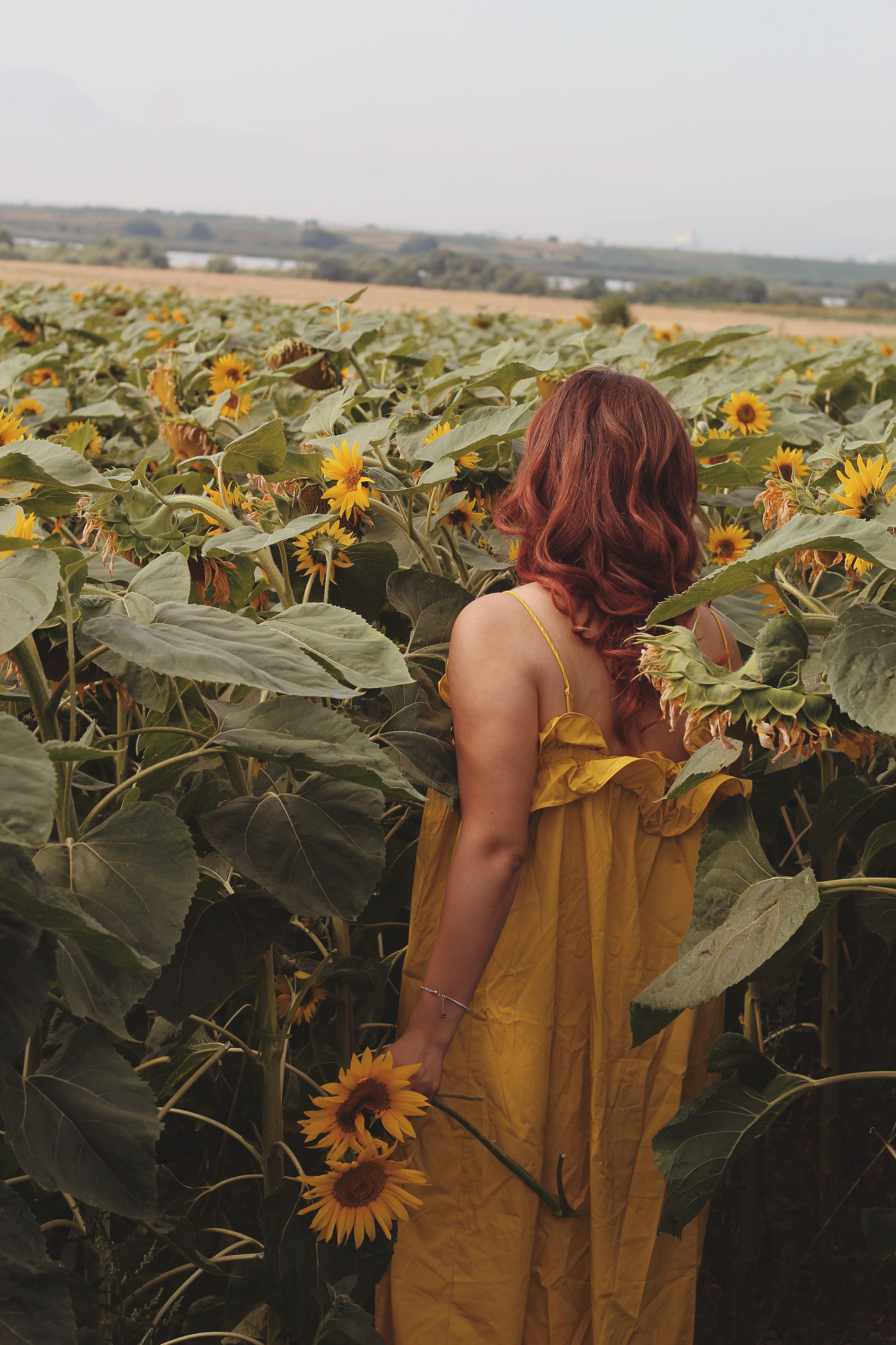 Woman in Yellow Sleeveless Dress Standing on Sunflower Field · Free ...