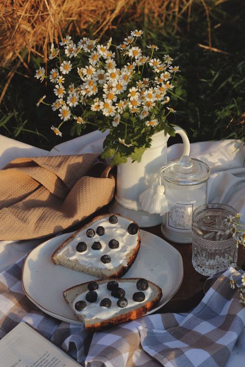 Free A charming picnic scene featuring blueberry toast and chamomile flowers on a blanket outdoors. Stock Photo