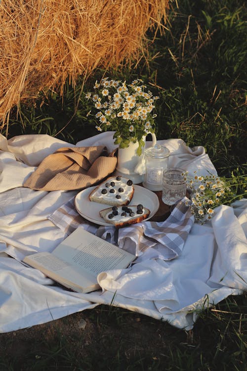 White Picnic Blanket on the Grass · Free Stock Photo