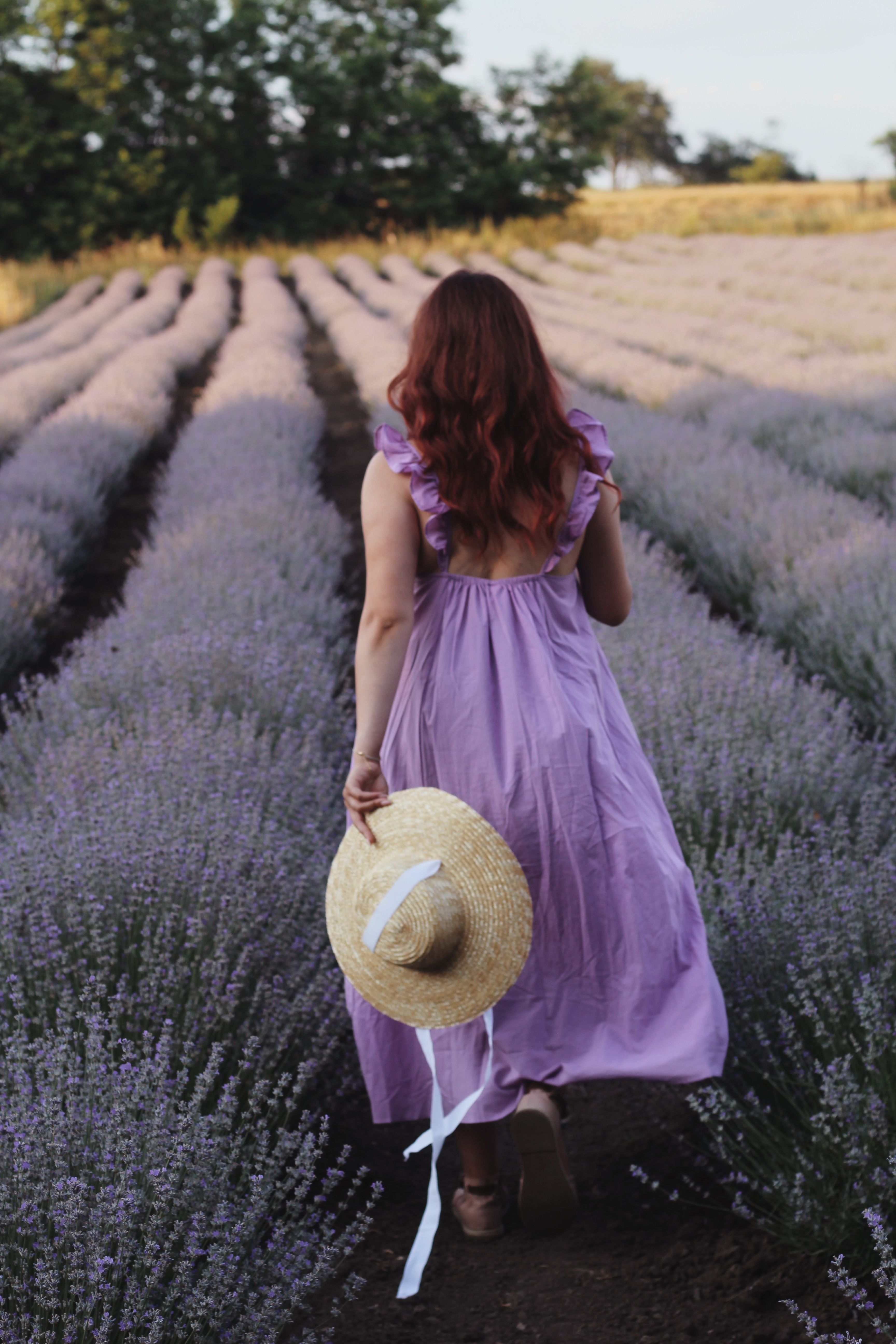 Woman in Dress Walking in Lavender Field · Free Stock Photo