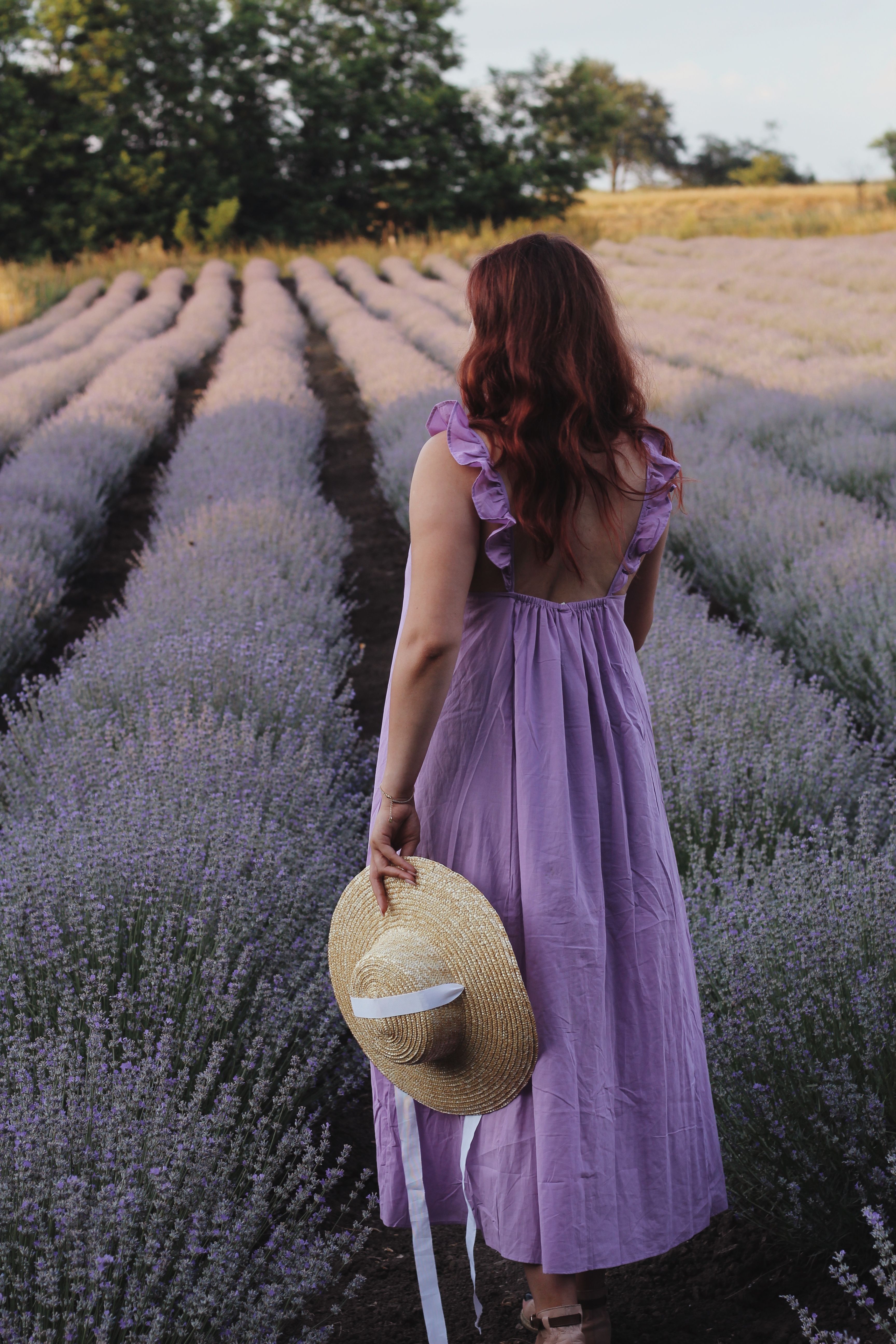 Woman Walking in Lavender Field 