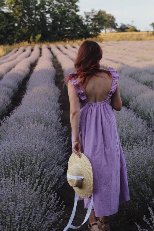 Back View of a Woman Walking in Lavender Field