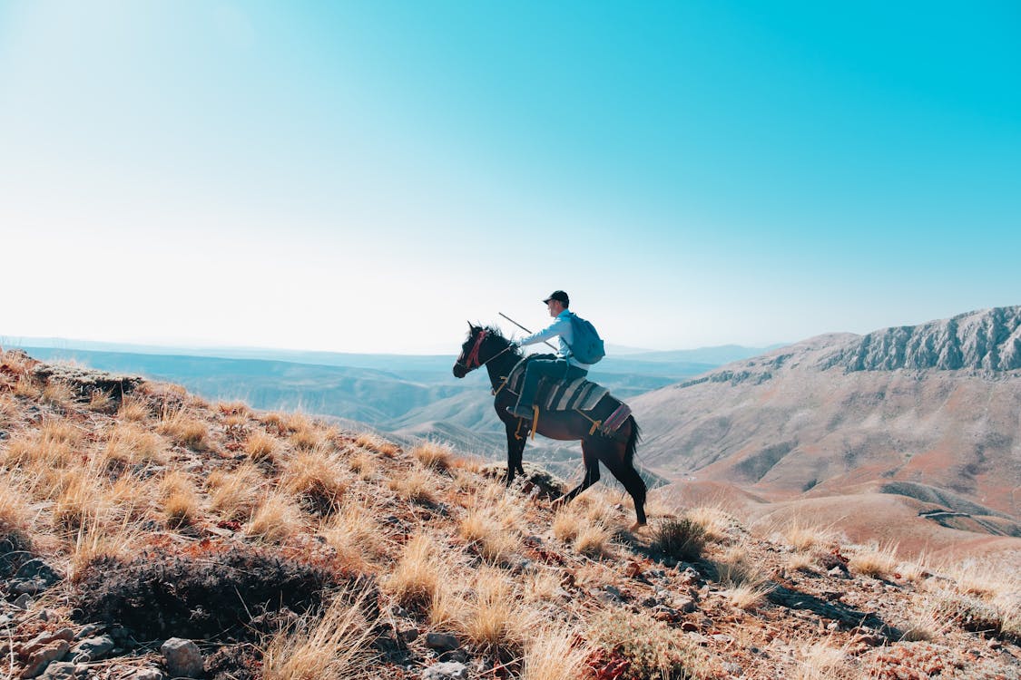 Photo of Person Riding a Horse · Free Stock Photo