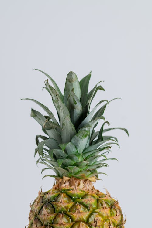Free Half Pineapple Photo Stock Photo