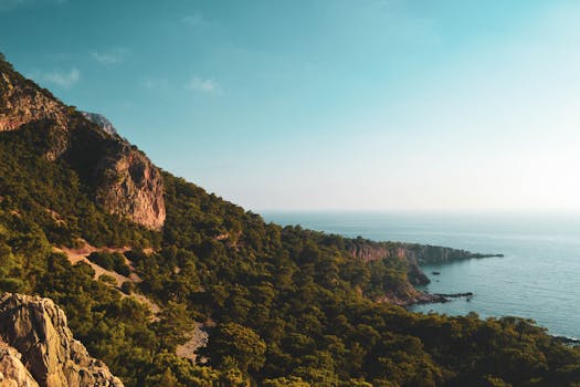 Explore a breathtaking coastal landscape featuring lush greenery, mountains, and the serene ocean under a clear blue sky.