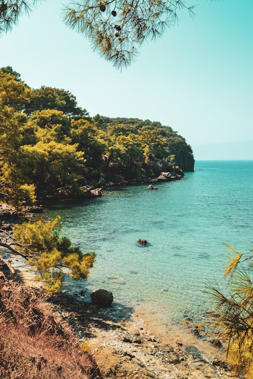 deniz, dikey atış, manzaralı içeren Ücretsiz stok fotoğraf