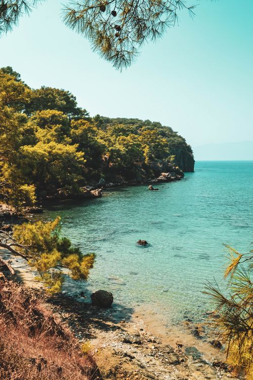 Free Beautiful coastal landscape featuring clear blue sea and lush pine trees. Stock Photo