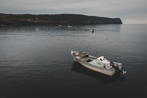 Fotos de stock gratuitas de barca, blanco, cuerpo de agua