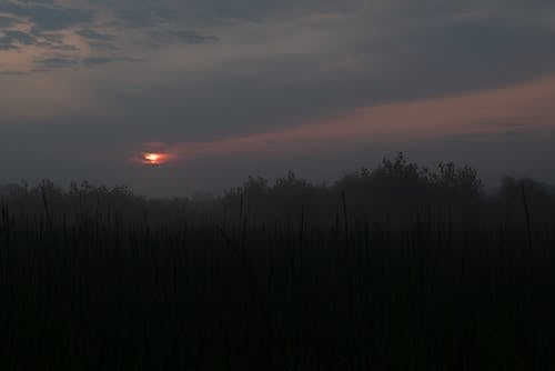 Darmowe zdjęcie z galerii z krajobraz, mgła, spektakularne niebo