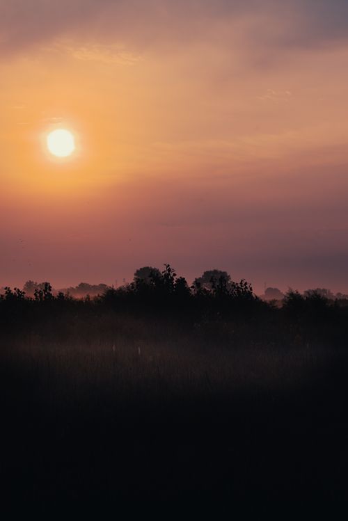 Free Beautiful sunset with vibrant colors over a misty landscape with silhouetted trees. Stock Photo