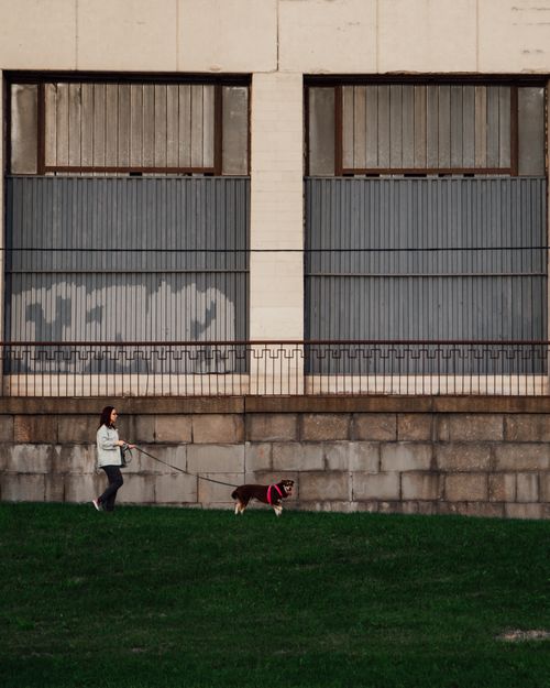 Free A woman walks her dog in front of an urban block wall, capturing a moment of companionship. Stock Photo