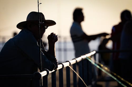 Free stock photo of fishing