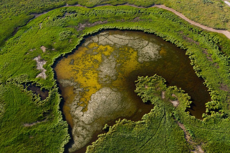 Green Area Around Lake