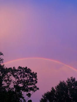 A stunning rainbow arcs gracefully across the twilight sky above silhouetted trees in Orlando, Florida.