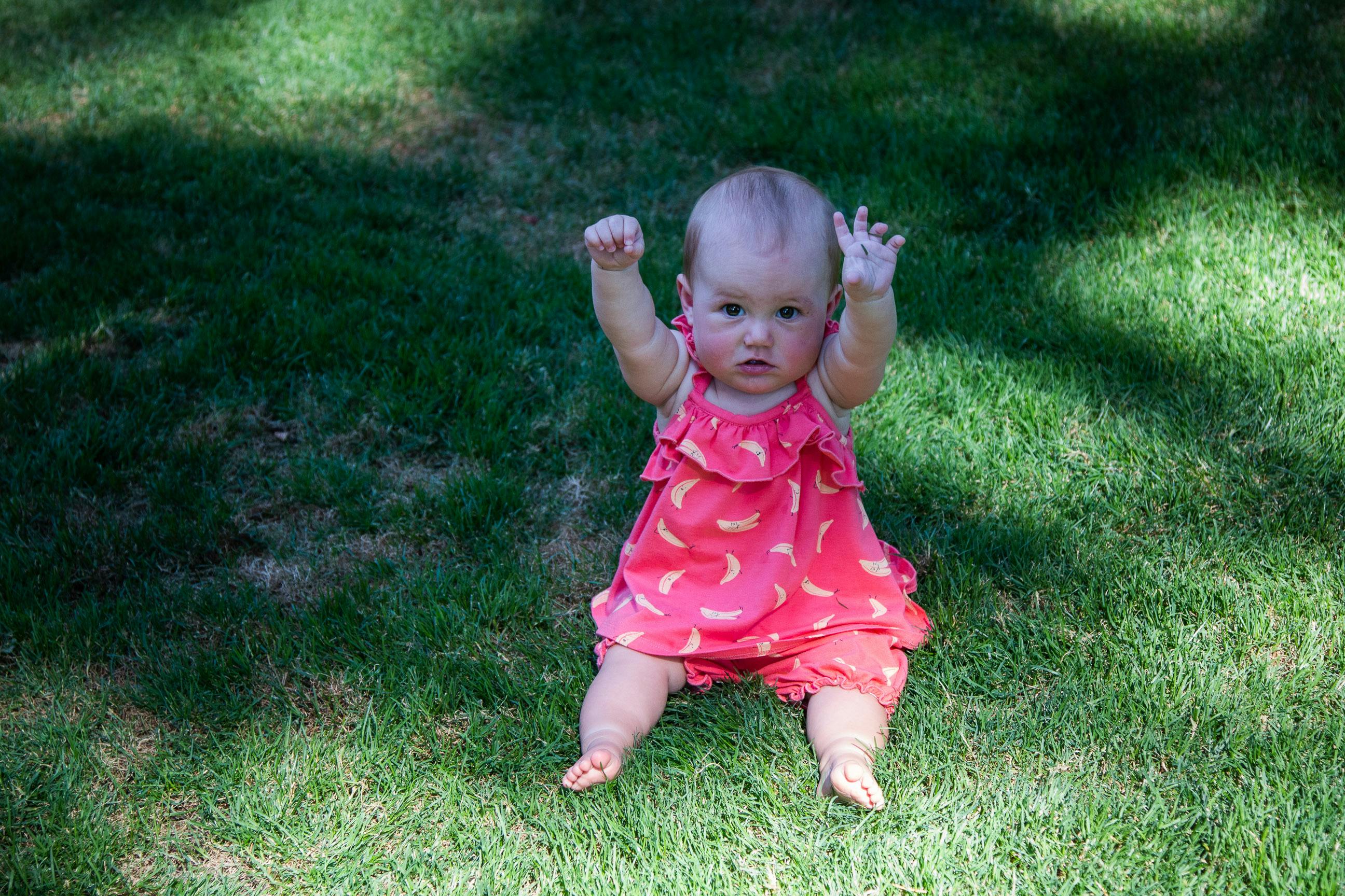 Baby Sitting On Grass Holding Green Leaves And Looking Upward Stock Photo -  Download Image Now - iStock