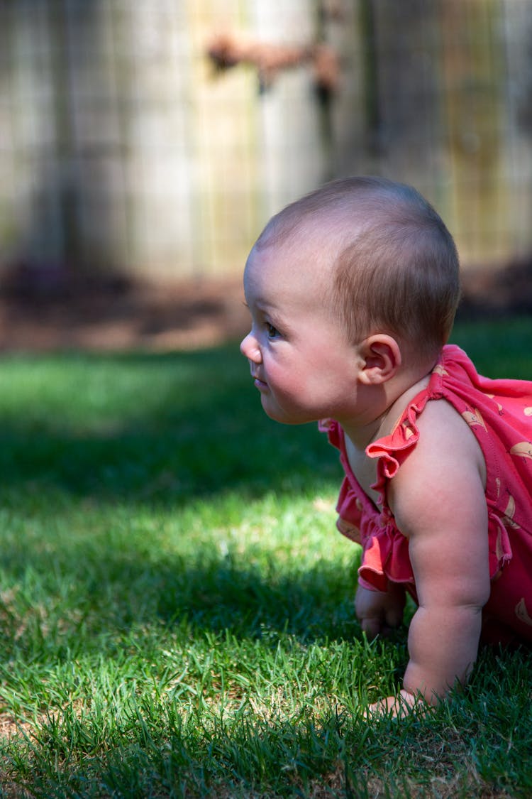 A Baby Crawling On The Grass 