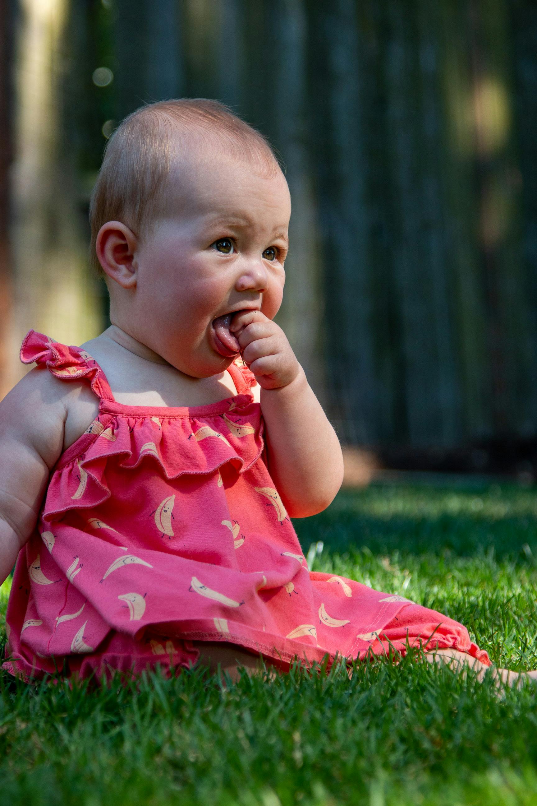 A Baby Girl in a Pink Dress · Free Stock Photo