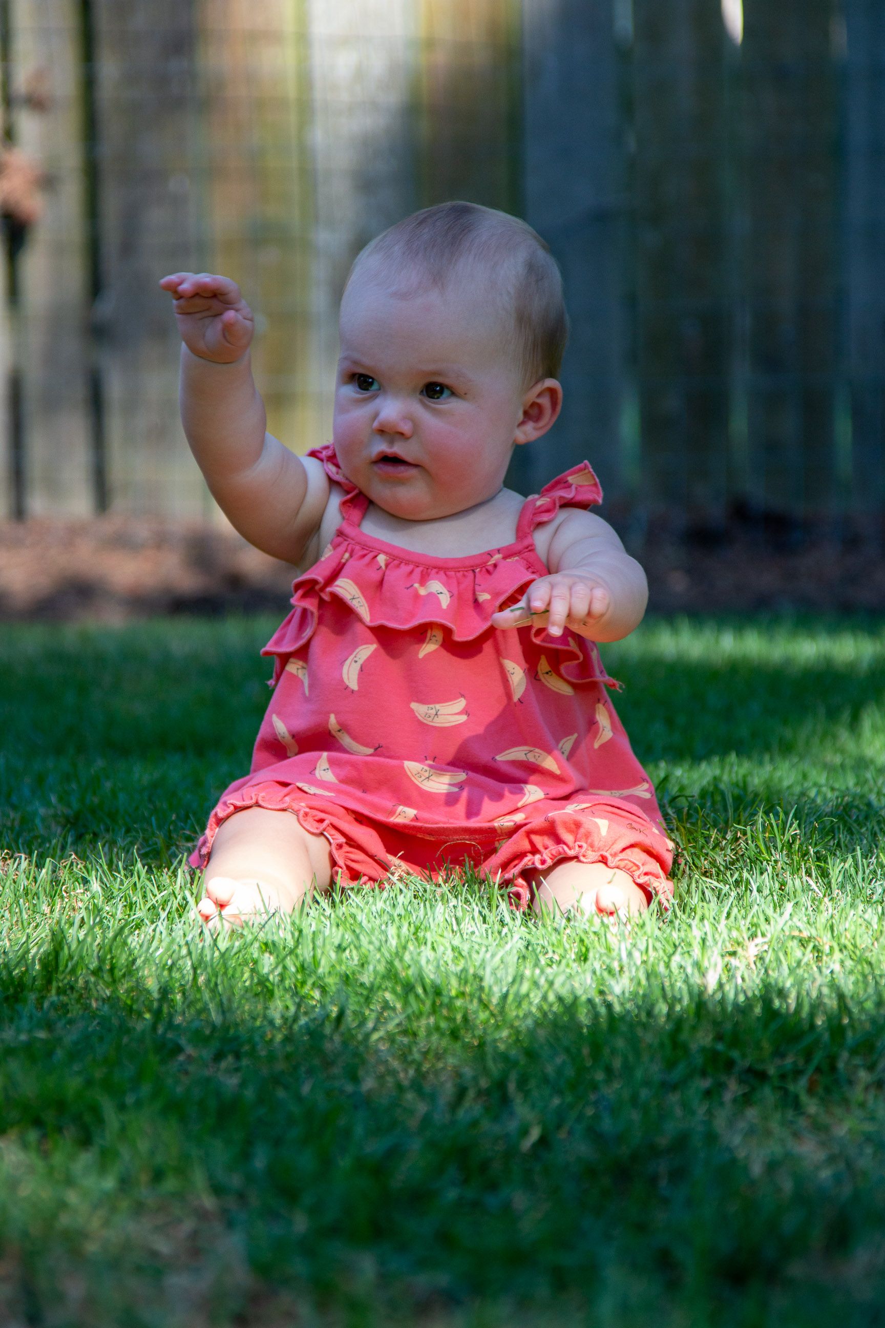 A Baby Girl in a Pink Dress · Free Stock Photo