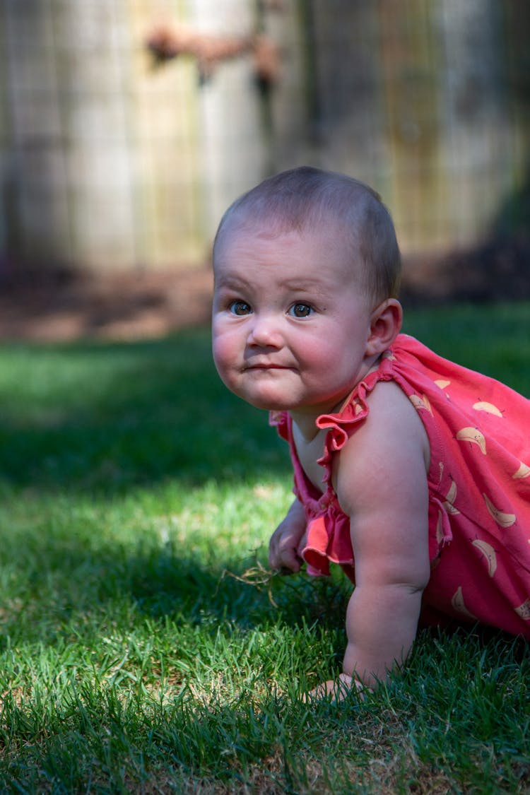 Baby Girl In Pink Dress Crawling On Grass