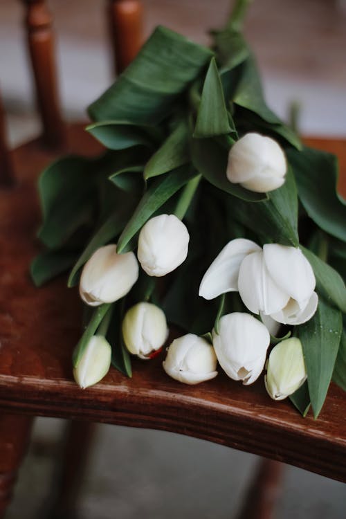 White Tulips on Brown Wooden Chair