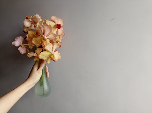 Close-Up Shot of a Person Holding a Vase with Orchids