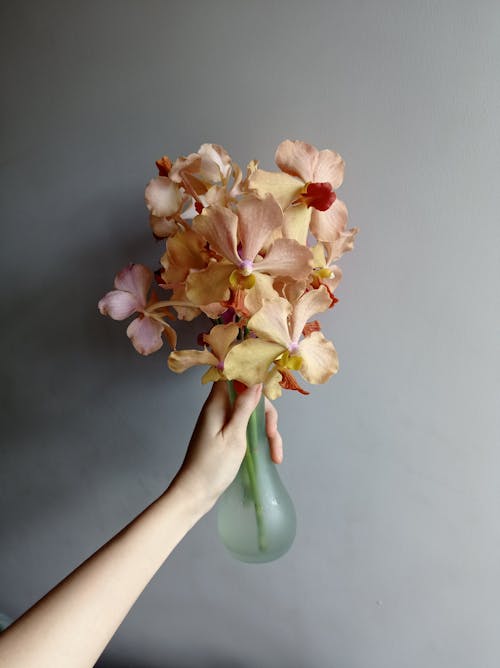 Close-Up Shot of a Person Holding a Vase with Orchids