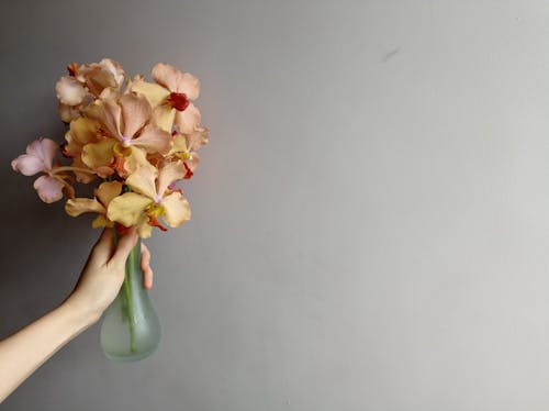 Close-Up Shot of a Person Holding a Vase with Orchids