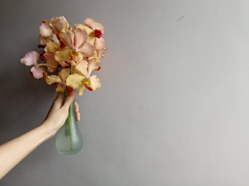 Close-Up Shot of a Person Holding a Vase with Orchids