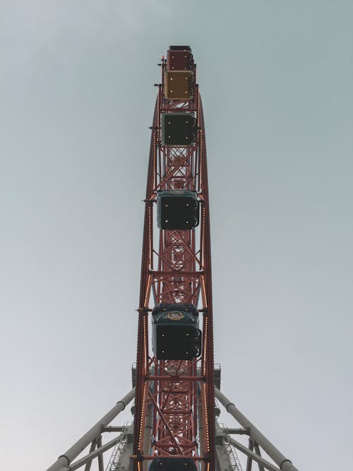Low-Angle Shot of a Ferris Wheel