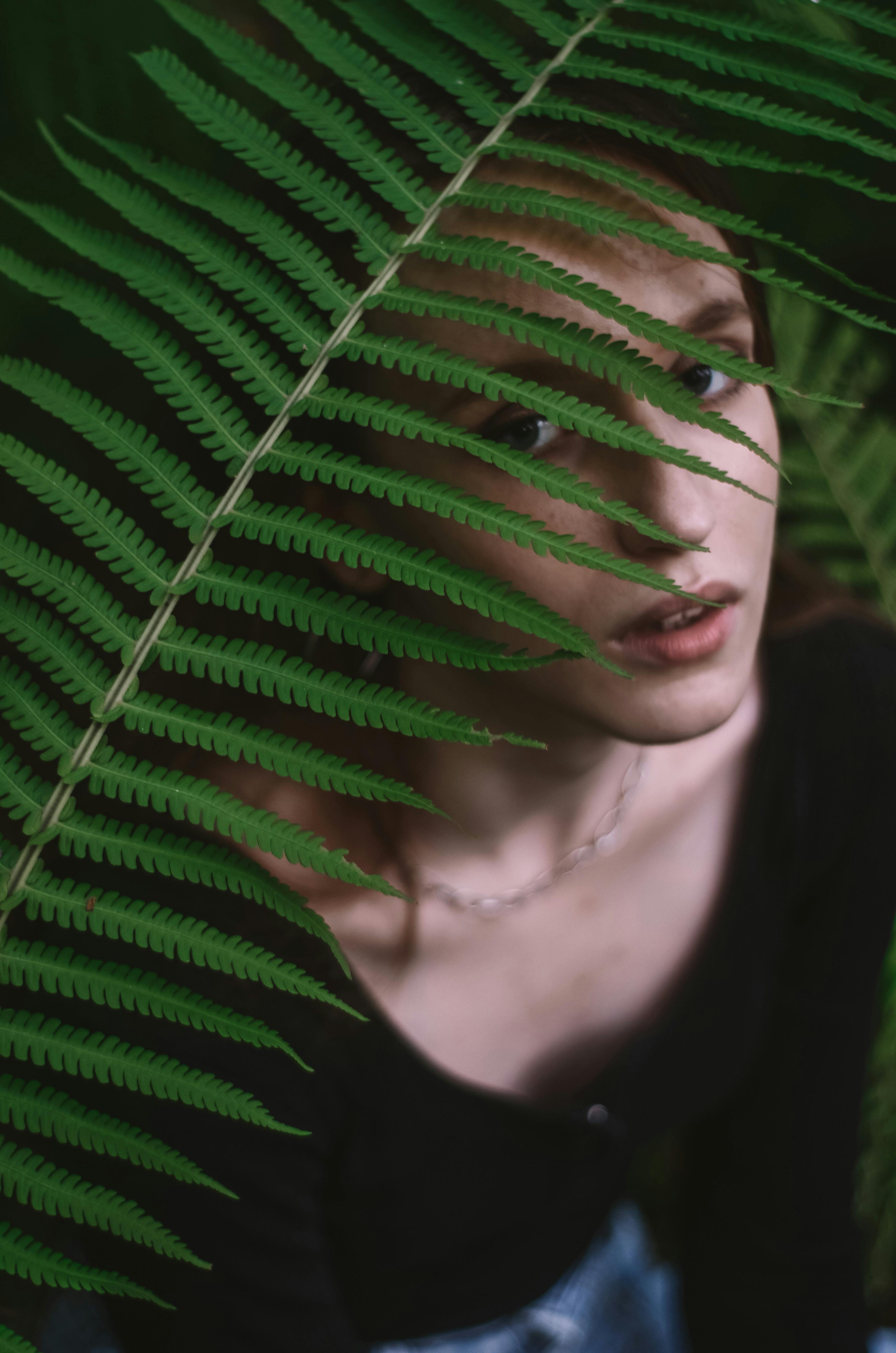 A Fern Leaf Covering the Woman's Face · Free Stock Photo