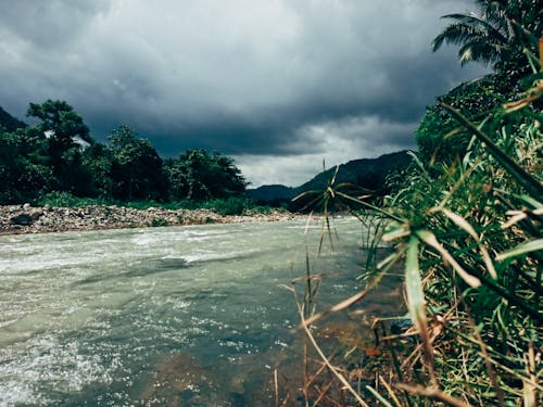 Free stock photo of green, moody sky, philippines