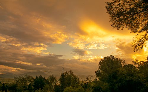 Free stock photo of africa, background, sky