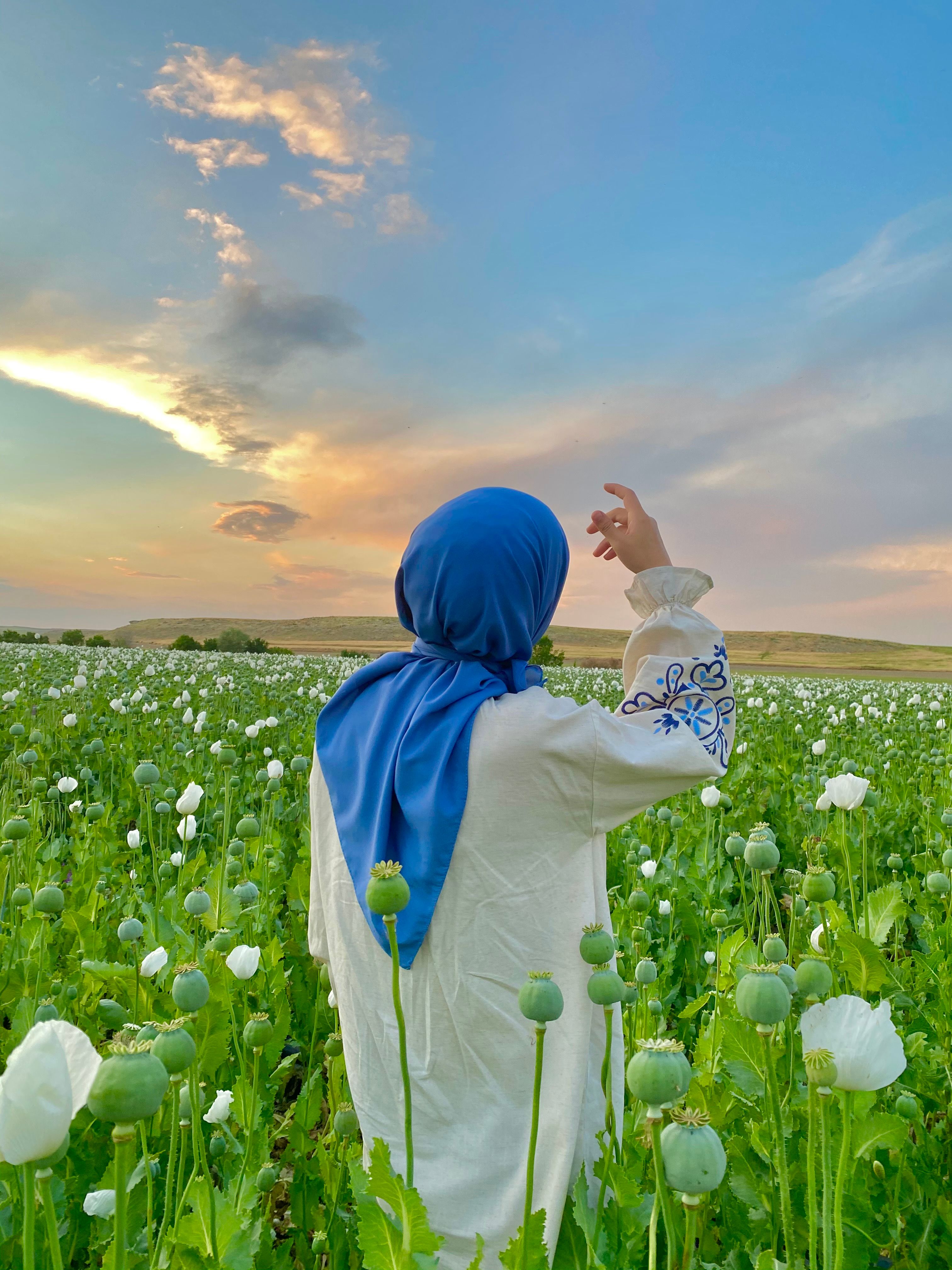 A woman wearing a blue headscarf stands in a field of white poppies at sunset, enjoying nature's beauty.