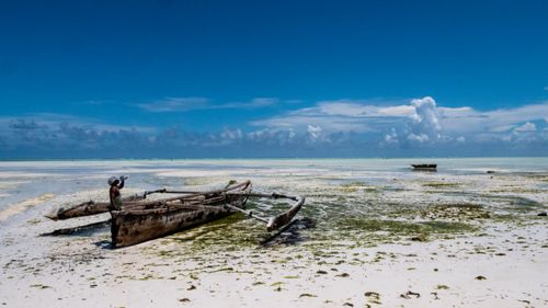 Free A lone traditional wooden boat on the serene shores of Zanzibar, Tanzania under a blue sky. Stock Photo