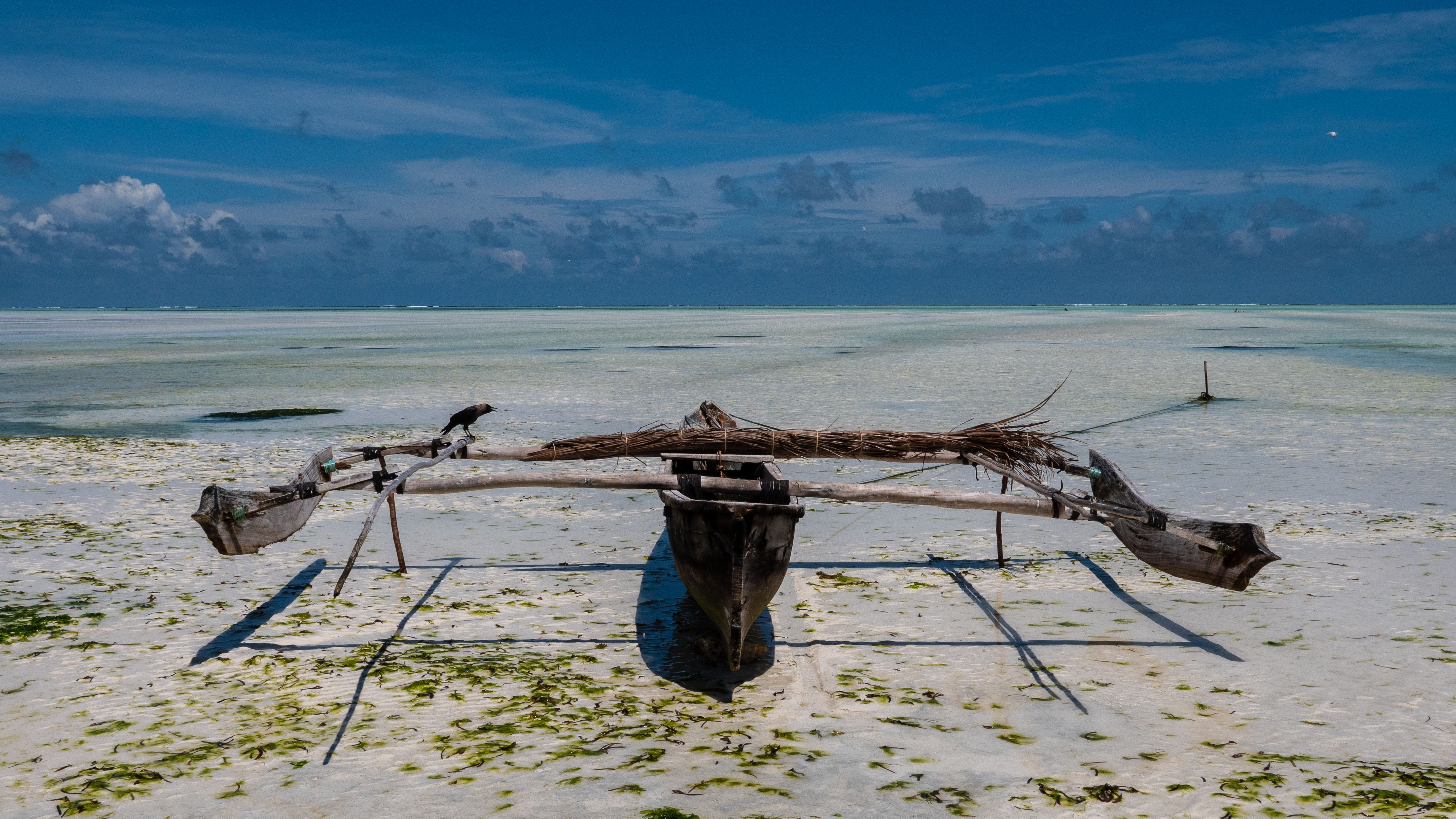 A traditional dhow rests on the sandy shores of Zanzibar, Tanzania, with a serene ocean backdrop.