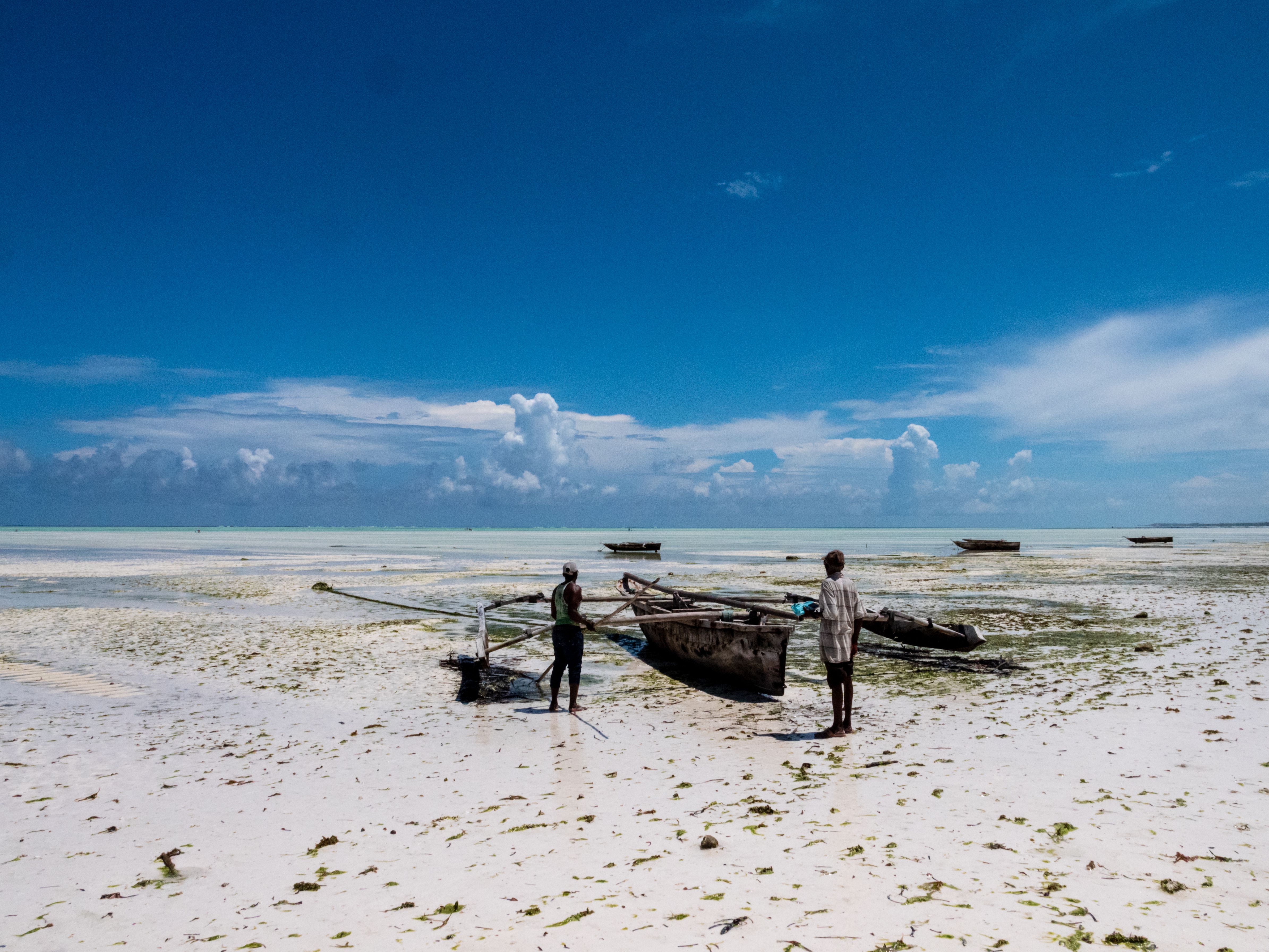 Bwejuu Seaweed Farm Tour