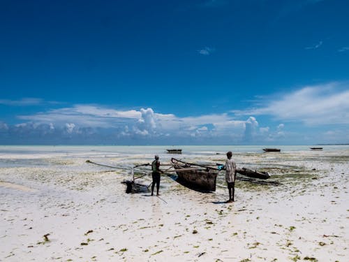 Foto stok gratis bekerja, karier, pantai