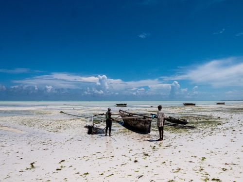 Free Two fishermen ready their traditional boat on the scenic beach of Zanzibar, Tanzania. Stock Photo