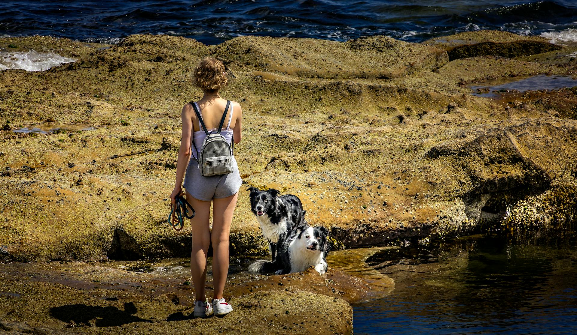 Woman with Dogs on the Shore