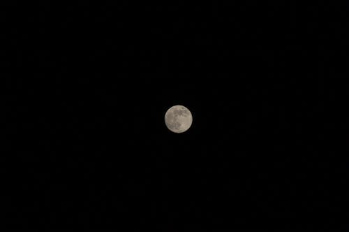 Бесплатное стоковое фото с луна, небо, ночь
