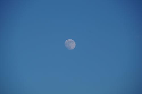 Free stock photo of evening, moon, sky