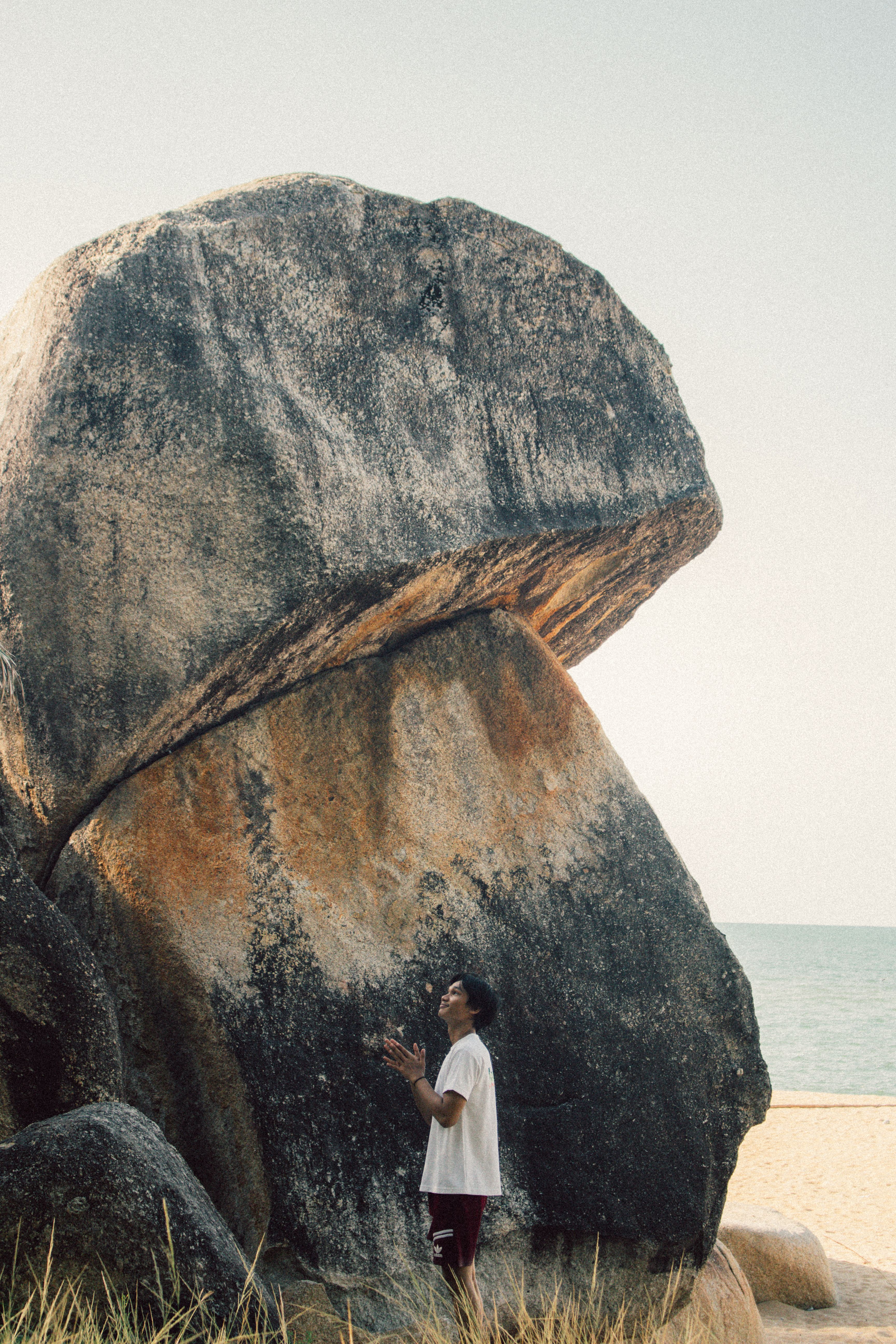 The Peace and Tranquility: Finding My Zen