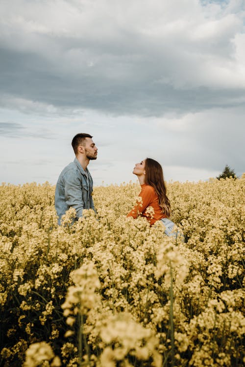 Fotobanka s bezplatnými fotkami na tému dvojica, hracie pole, láska