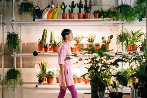 Free A woman walks by shelves of potted plants in an indoor nursery setting. Stock Photo
