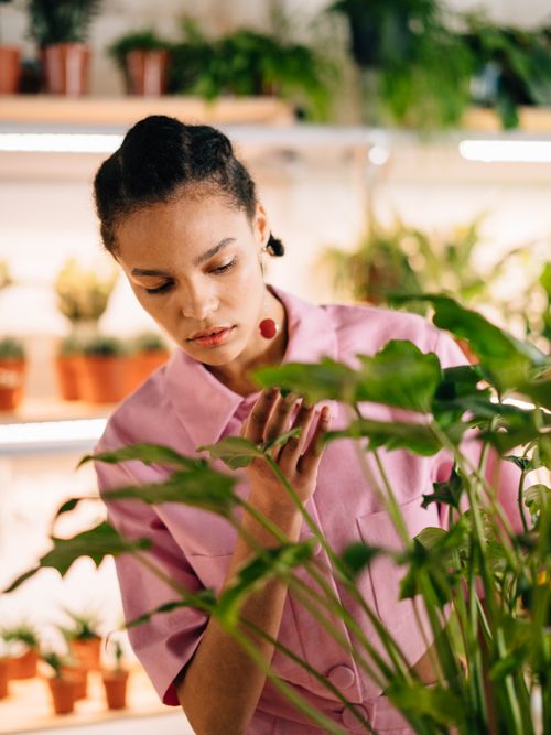 Free A woman tending to plants indoors, showcasing a serene gardening moment. Stock Photo