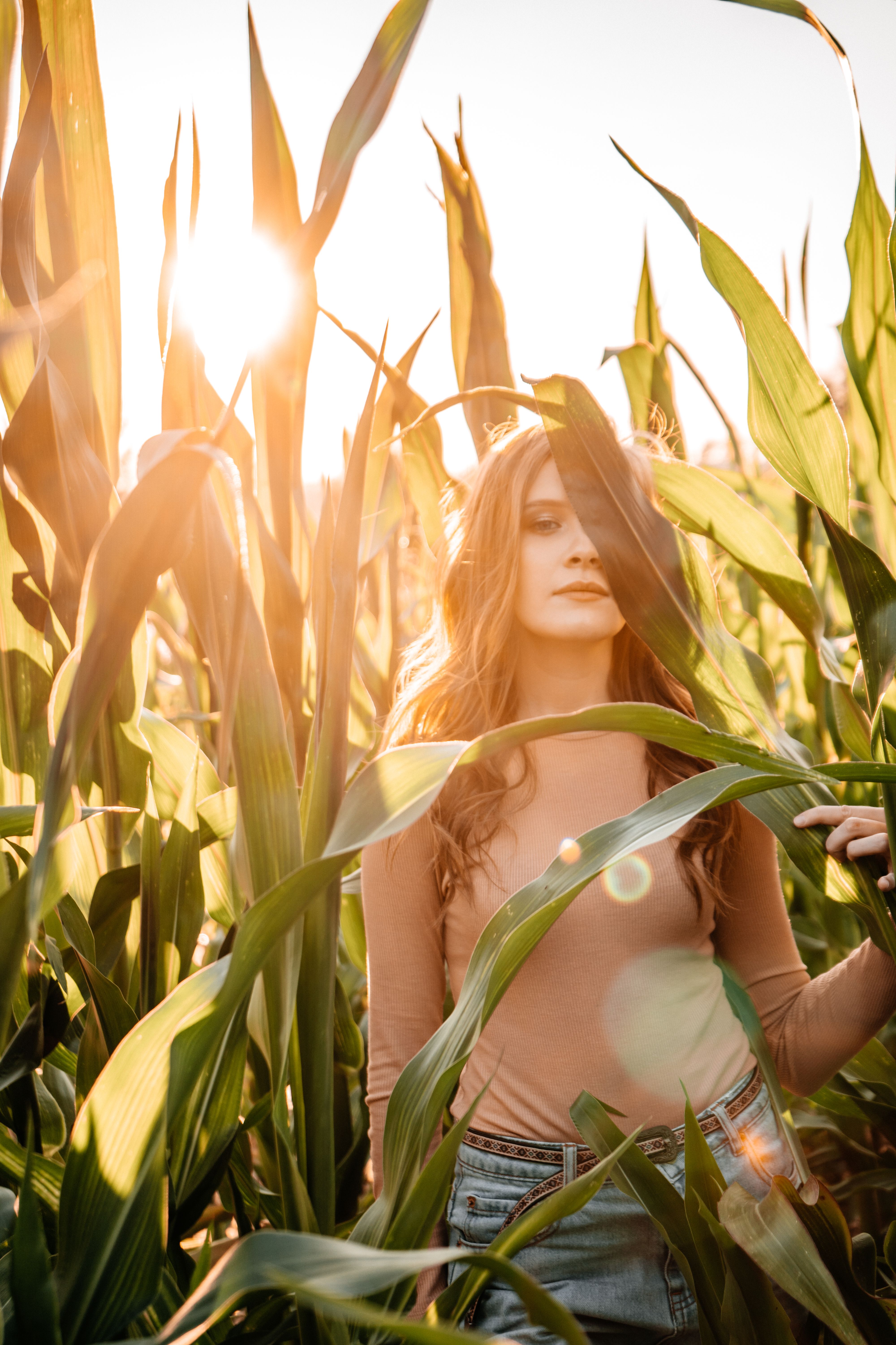 A Young Woman in a Corn Field · Free Stock Photo