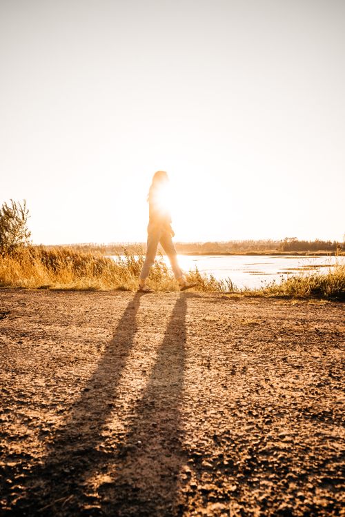 Free A backlit silhouette of a woman walking along a lakeshore at sunset casting a long shadow. Stock Photo