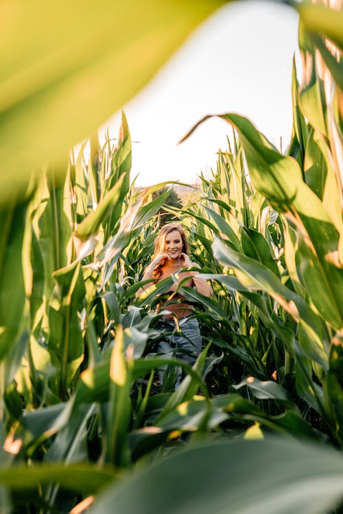Woman Standing in Corn Field