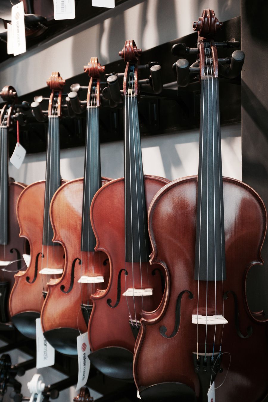 Violins on a rack in the workshop